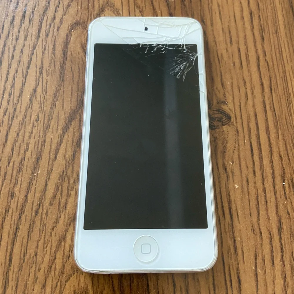Apple iPod Touch 5th generation